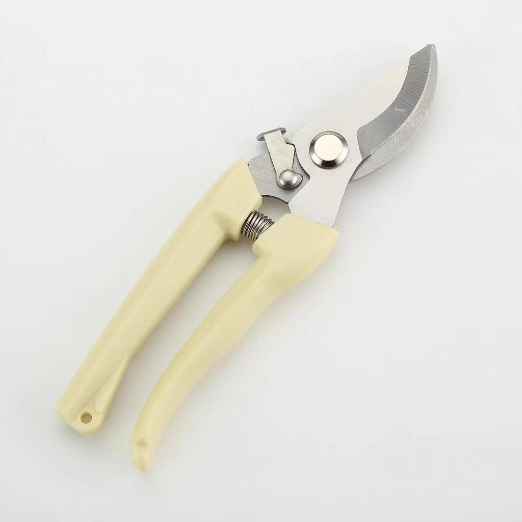 Садовые ножницы для обрезки: Инструмент для ухода за цветами, фруктами и деревьями