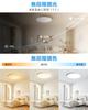 Coizabera LED Ceiling 8 Tatami Dimmable Small Bulb Night Ceiling Lighting Fluorescent Remote Control Smartphone APP Suitable for Japanese Western