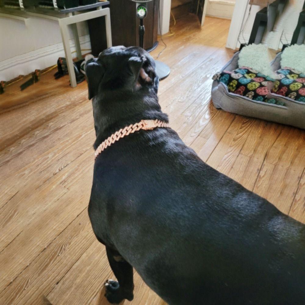 Individualistic Zinc Zinc Alloy Durable with Dogs Chains Dogs Necklace Cat Collar Pet Accessories