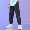 Autumn Harem Pants Boys' Pants Loose Drop-down Ins Cropped Casual Pants Trendy Wide-Leg Sports Trousers