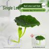 Betta Fish Resting Leaf: Lazy Leaf Perch, Hide & Simulate Spawning in Small Tanks