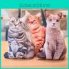 Simulation 3d Cat Plush Stuffed Toy Animal Doll Room Decoration Gift Birthday