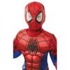 Spider-Man Костюм Делюкс для мальчиков