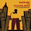 Home To Harlem by Claude McKay Paperback Book 9781784877583