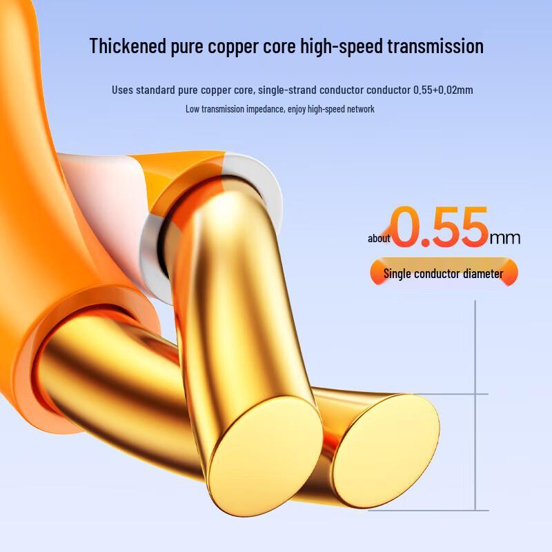 BIAZE CAT6A Unshielded Ethernet Cable