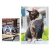 Adjustable Large Cats Vest Harness for Small Cats No Pull Design with Leash Breathable Vest Bright Color