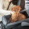 Портативное автокресло для домашних животных, сиденье для собаки с центральным управлением, нескользящий безопасный автомобильный подлокотник, коробка-бустер, питомник, кровать для маленьких собак, кошек, путешествий