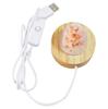 USB Himalayan Salt Lamp with 8 Colors Changing • Natural Crystal Salt Rock • Safe Low Voltage (5V) • Perfect Gift & Mood Lighting