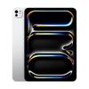 Apple IPad Pro 11 дюймов (2025) с чипом M5 (Китайская версия)