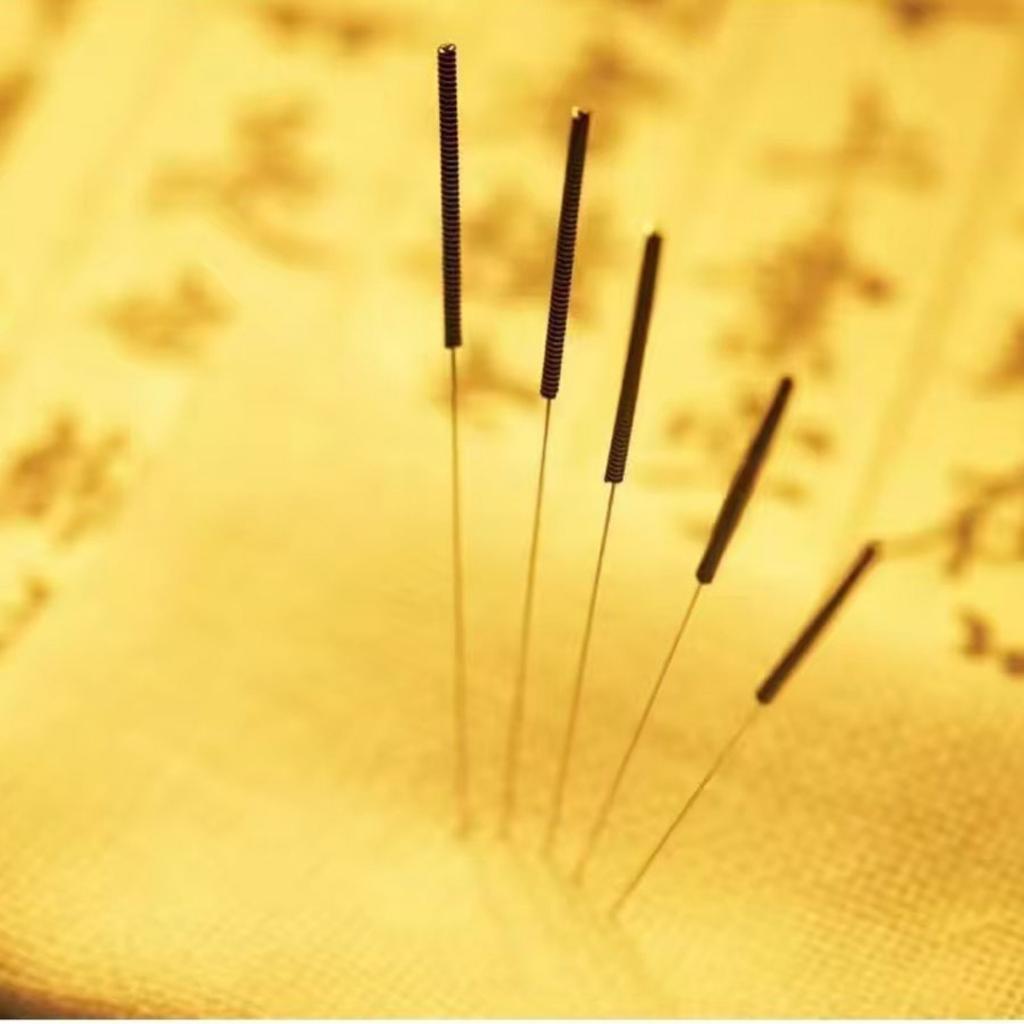 Acupuncture Training Practice Model Kit - Acupuncture Point Location Training Needle Package for Chinese Medicine Students with