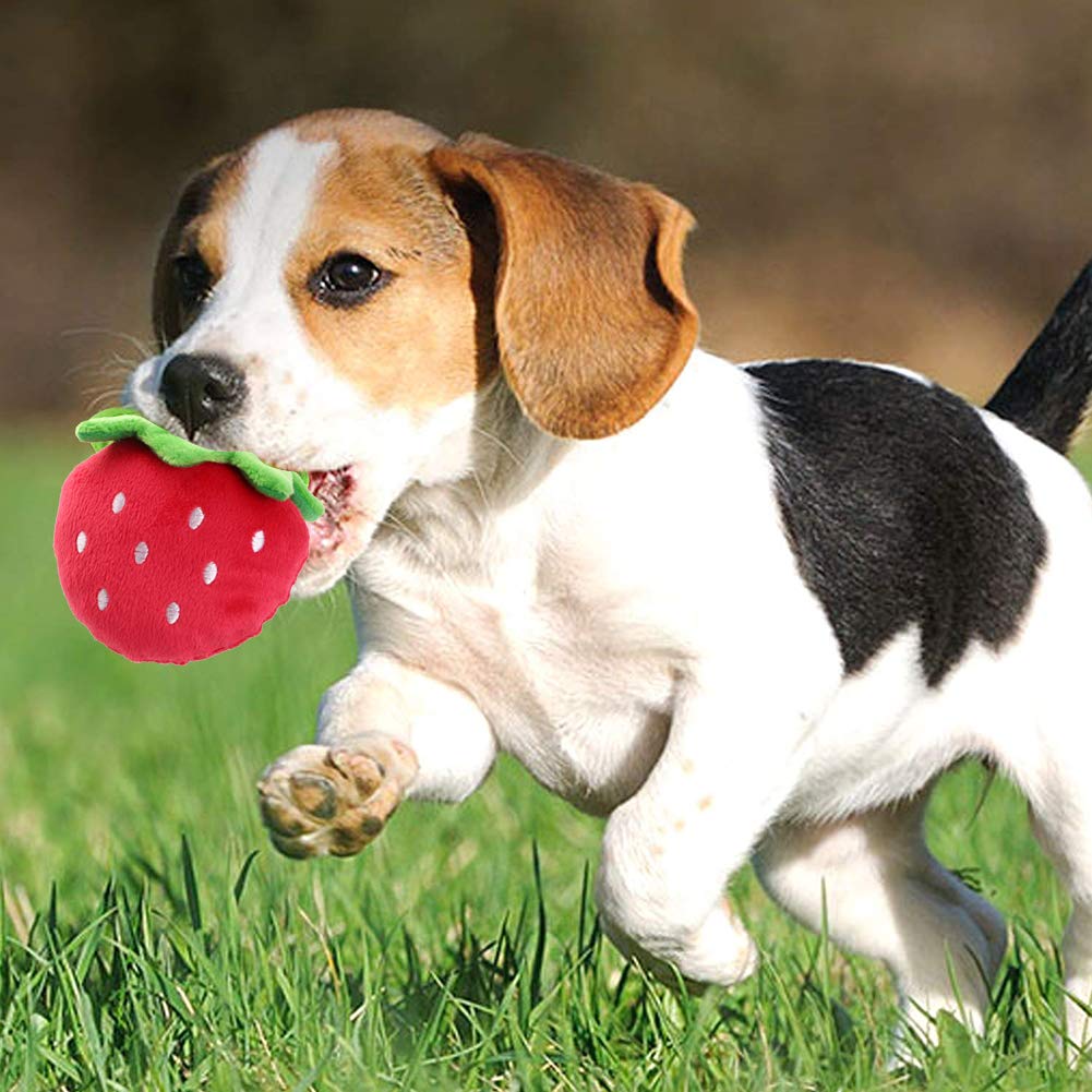 Dog Dog Chewing Sound Pet Stuffed Throwing Toys of Brushing Relieving Tiredness and Lack of Stress Suitable for Small Vegetable Type Toys, Toys, Toys,