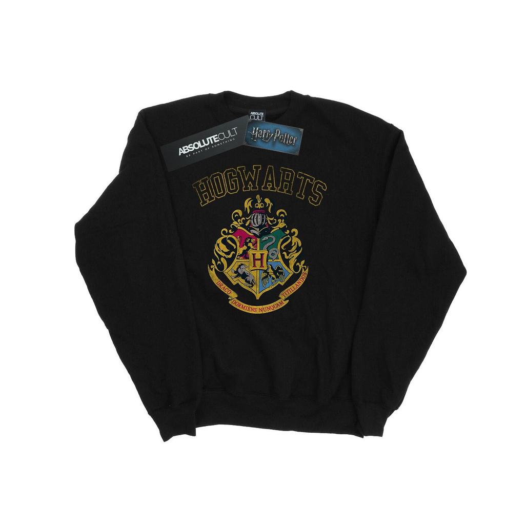 HARRY POTTER Boys Varsity Style Crest Sweatshirt