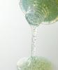[Greenery & Basil Line] Perfume Hair Shampoo 300ml + Perfume Hair Essence 30ml + Rose Hair Tie