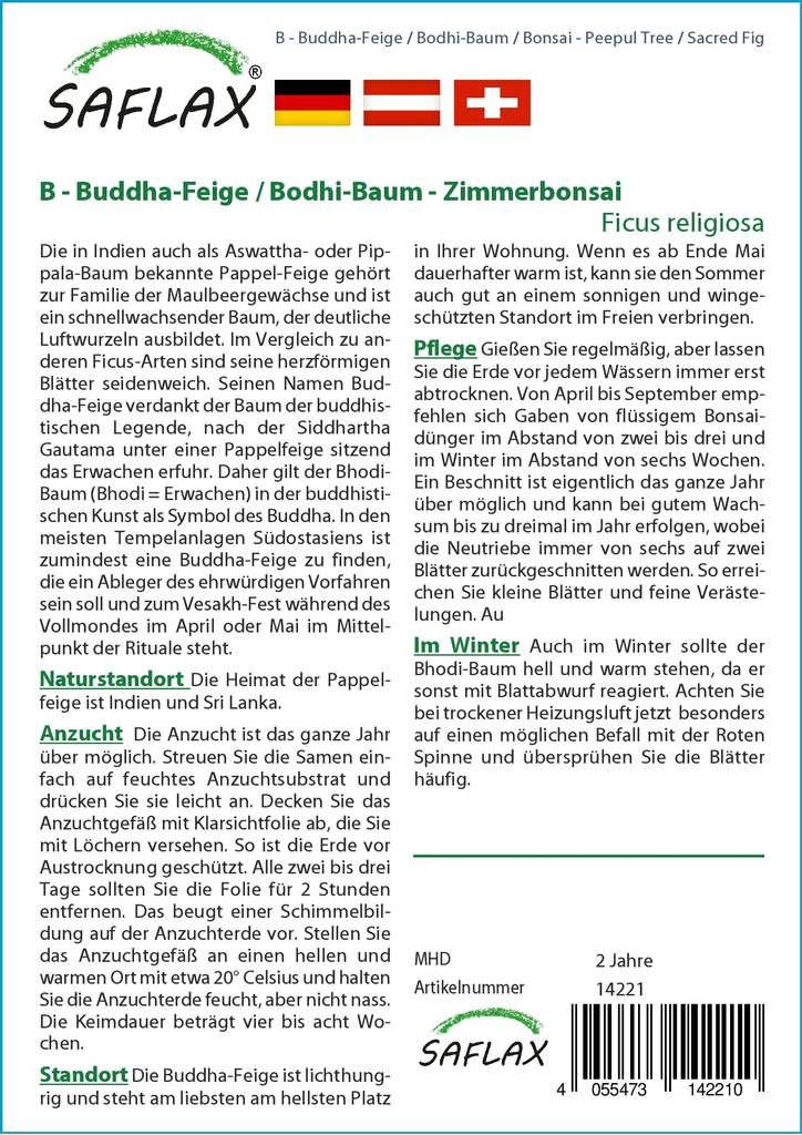 SAFLAX Garden in the Bag - Бонсай - Дерево Пипул / Священный инжир - 100 семян - С субстратом в подходящем пакете - Ficus religiosa