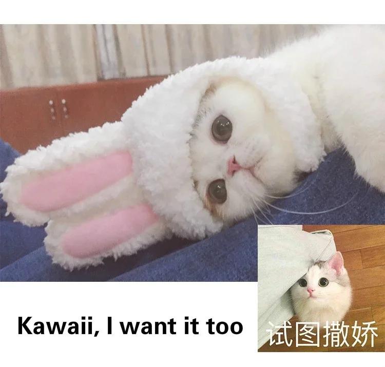 Cat Accessories Hood Cute Rabbit Costume Hat Cat Headdress Show Props Funny Pet Hat Rabbit Ears