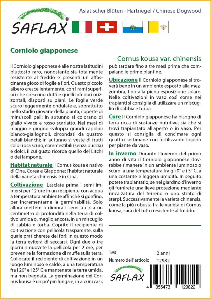 SAFLAX Подарочный набор - Кизил китайский - 30 семян - С подарочной коробкой, карточкой, этикеткой и субстратом для горшков - Cornus kousa