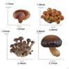 Children's Mushroom Development Stages Toy Set for Interactive Learning