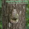 Кормушка для птиц «Большая нога» Смола Креативная кормушка для птиц Всепогодная Настенное крепление на дерево Наружная скульптура Инструменты для кормления птиц Садовое украшение