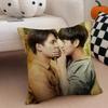 Thai TV drama BBad Buddy Series Cushion Cover Throw Pillow Cover Hidden Button Durable Polyester Chair Cushion