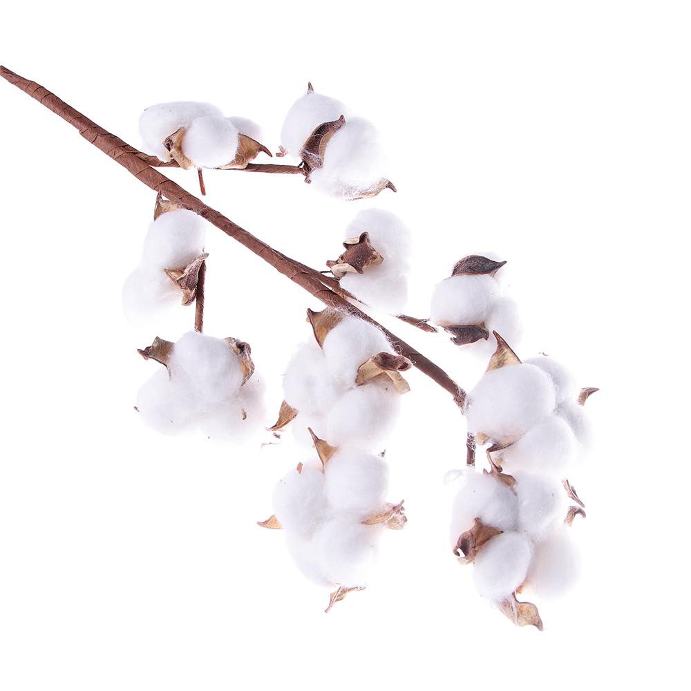 Handmade Fake Flower Home Decor Floral Branch Cotton Stem Dried Cotton Flower Artificial Plants