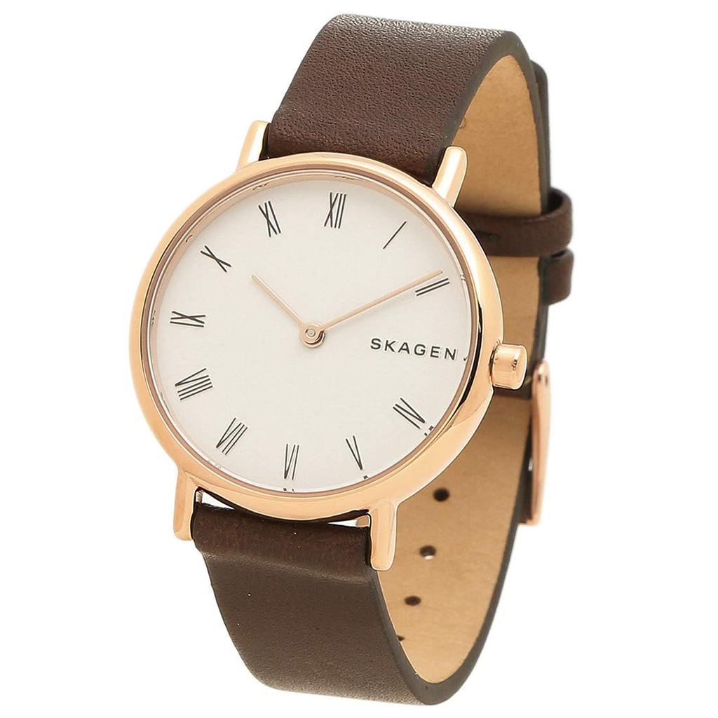 Skagen Women's Watch, Brown, SKW2760 [Parallel Import]