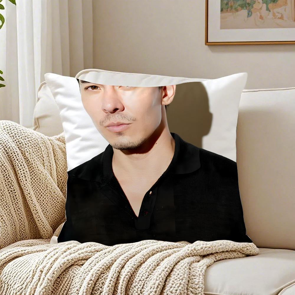 LLewis Tan Movie Star Peripheral Cushion Cover Pillowcase Antidustmite living Room Sofa Decor Cushion Room