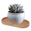 Oval bamboo tray, natural dessert cup tray, small wooden cheese board
