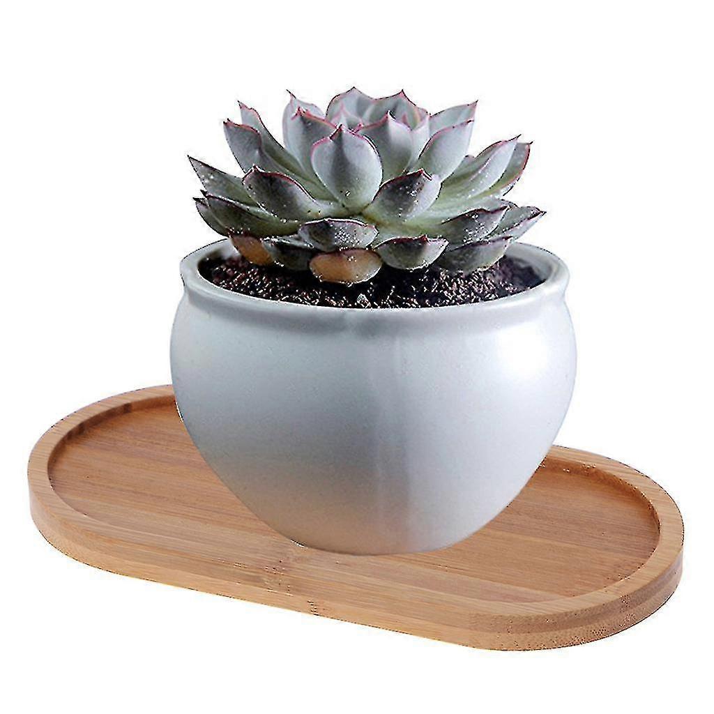 Oval bamboo tray, natural dessert cup tray, small wooden cheese board
