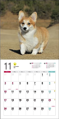 Календарь 2024 Вельш-корги (Календарь Seibundo Shinkosha)