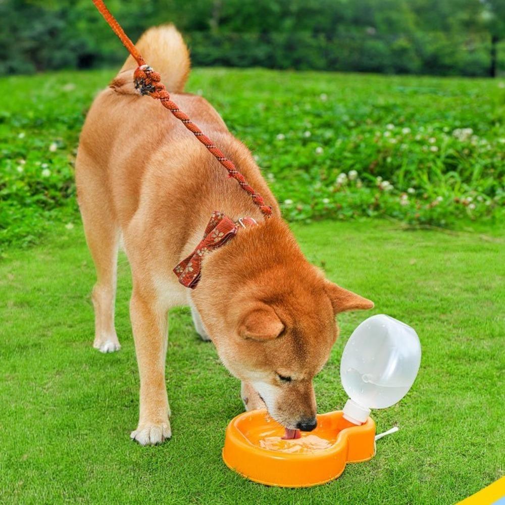350/500ml Cat Dog Water Bottle Foldable Portable Puppy Cat Drinking Bowl with Handle Leak-proof Pet Water Dispenser Hiking