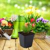 5.5см/7см/10см Стартовые горшочки для рассады 50 ШТ Многоразовые Черные Квадратные Горшки для Рассады Горшок для Рассады С Дренажными Отверстиями Садовый Набор