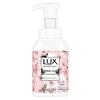 lux Антибактериальное пенящееся мыло для рук
