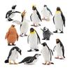 TOYMANY 12 шт. Фигурка пингвина Набор фигурок антарктических животных Антарктический круг Реалистичная модель животного Популярная игрушка-животное Подарок на день рождения Украшение