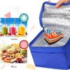 Термосумка для ланча, портативная термосумка, большая вместимость, складная, легкая, сумка-холодильник, принадлежности для кемпинга