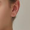 DIDIER DUBOT Radidi Earrings JDDERPF12XX