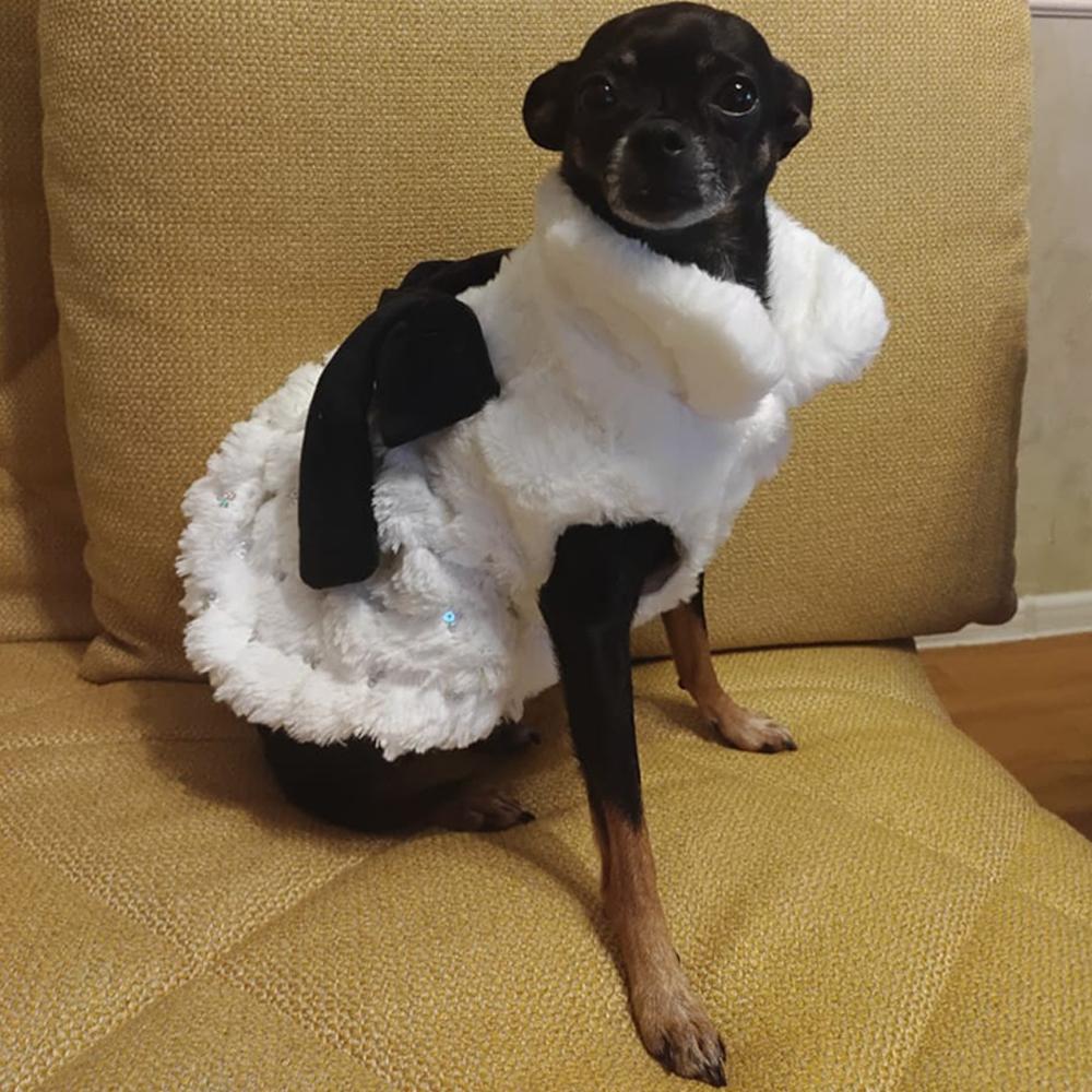 Одежда для домашних животных Элегантное роскошное зимнее пальто с мехом для собак, свитер для маленьких средних кошек, одежда с бантом, модная зимняя куртка для щенков, комбинезон для котенка