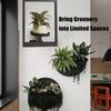 Металлический каркасный держатель для растений настенный железный каркасный держатель для растений рамка для растений в горшках для внутренней гостиной балкона офиса настенный дисплей