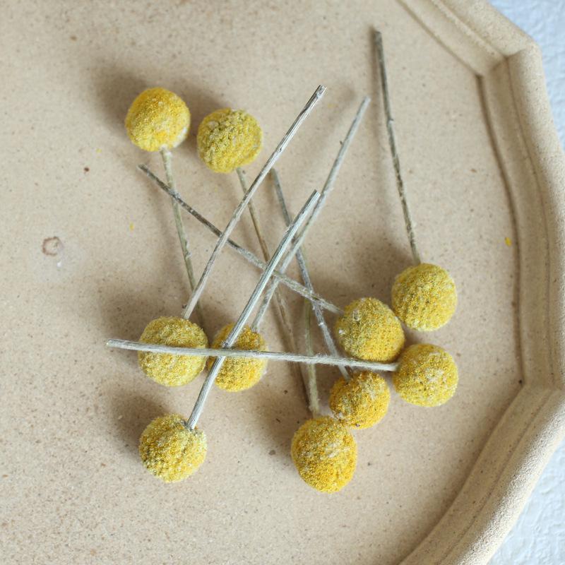 Dried Real Flowers & Materials: Pine Cones, Acorns, Cotton, Adhesives, Sunflowers - DIY Scented Floral Decor & Photography Props