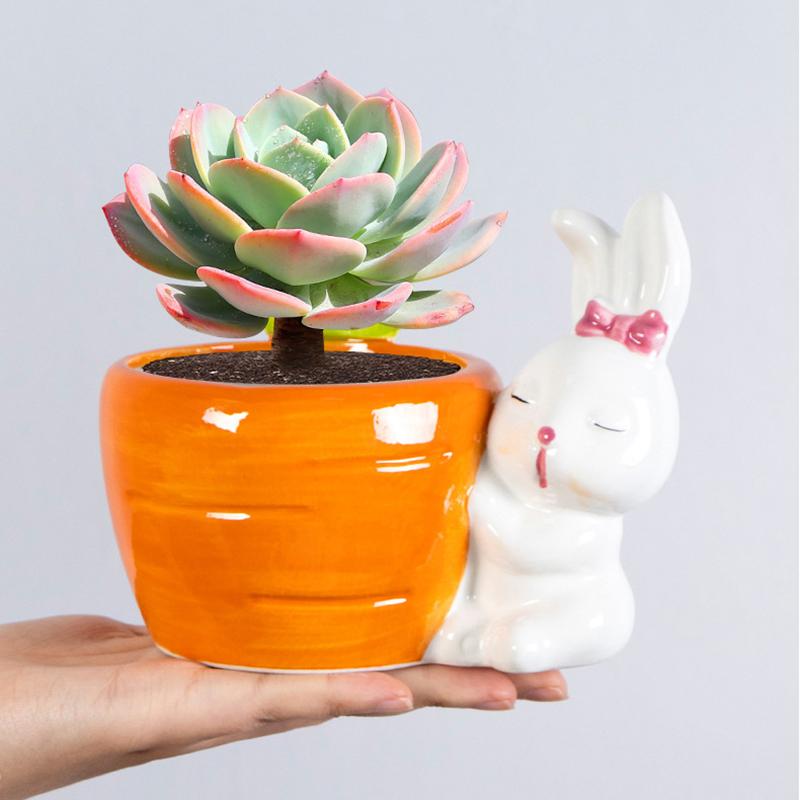 Cute Rabbit Flower Pot Ceramic Succulent Pot Planter Home Decor Indoor Decoration Desktop Ornaments Bonsai Plant Pot