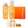 Concentrated Ginseng Renewing 2-piece Set