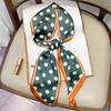 Fashion Point Silk Scarf Female Imitation Silk Spring and Summer Scarf Hair Band Decoration