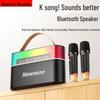 Портативная уличная Bluetooth-караоке-колонка Newmine MC75 с двумя микрофонами