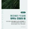 ROUND LAB - Pine Calming Cica Shampoo