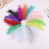 50Pcs Cross-Border Turkey Hairy Tail Plush Feather Colored Feather Dream Catcher Feather Light Bobo Ball Feather