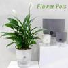 Decoration Auto Irrigate Garden Supplies Hydroponic Flower Pots Plant Pot Home Decor Planters