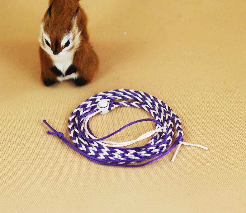 Поводок для домашних животных Поводок для ходьбы на тяговом канате 1,4/2 м Хомяк Морская свинка Кобая Кролики Хорьки Шиншиллы Маленький ошейник Поводок