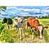 Алмазная вышивка Животные Корова Полный круглый Нидерланды Алмазная картина Горный хрусталь Вышивка крестом