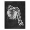 Human Anatomy Artwork Medical Clinic Wall Picture Skeleton Organ Muscle System Vintage Canvas Print Body Education Poster