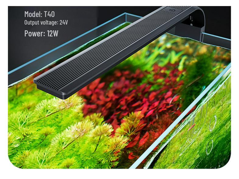 Turtle & Fish Breeding Tank Set with Basking Platform, Dry-Wet Separation, and Side Filter Eco Glass Tank