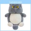 Cat Stuffed Plush Toys Animal Dolls Couple Room Decoration Kids Gifts Festival